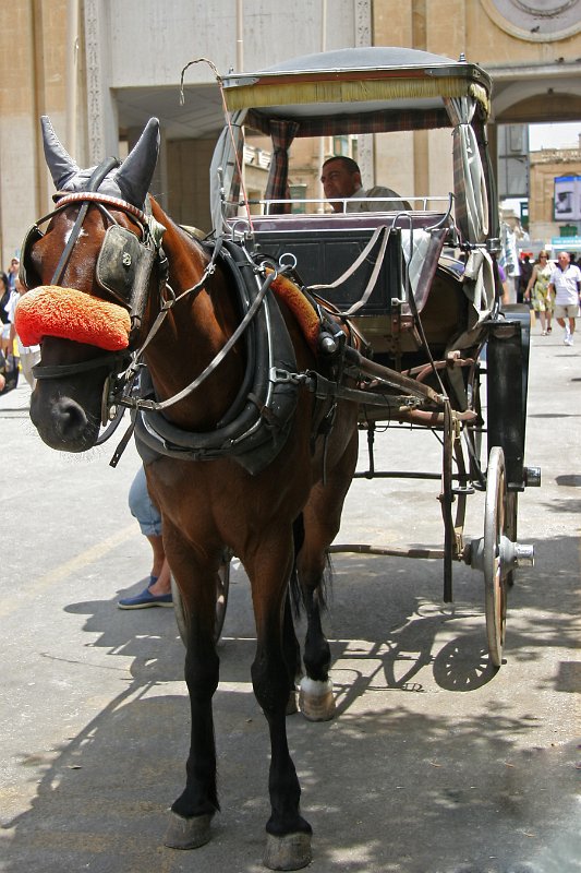 MittelmeerKreuzFahrt _052.JPG